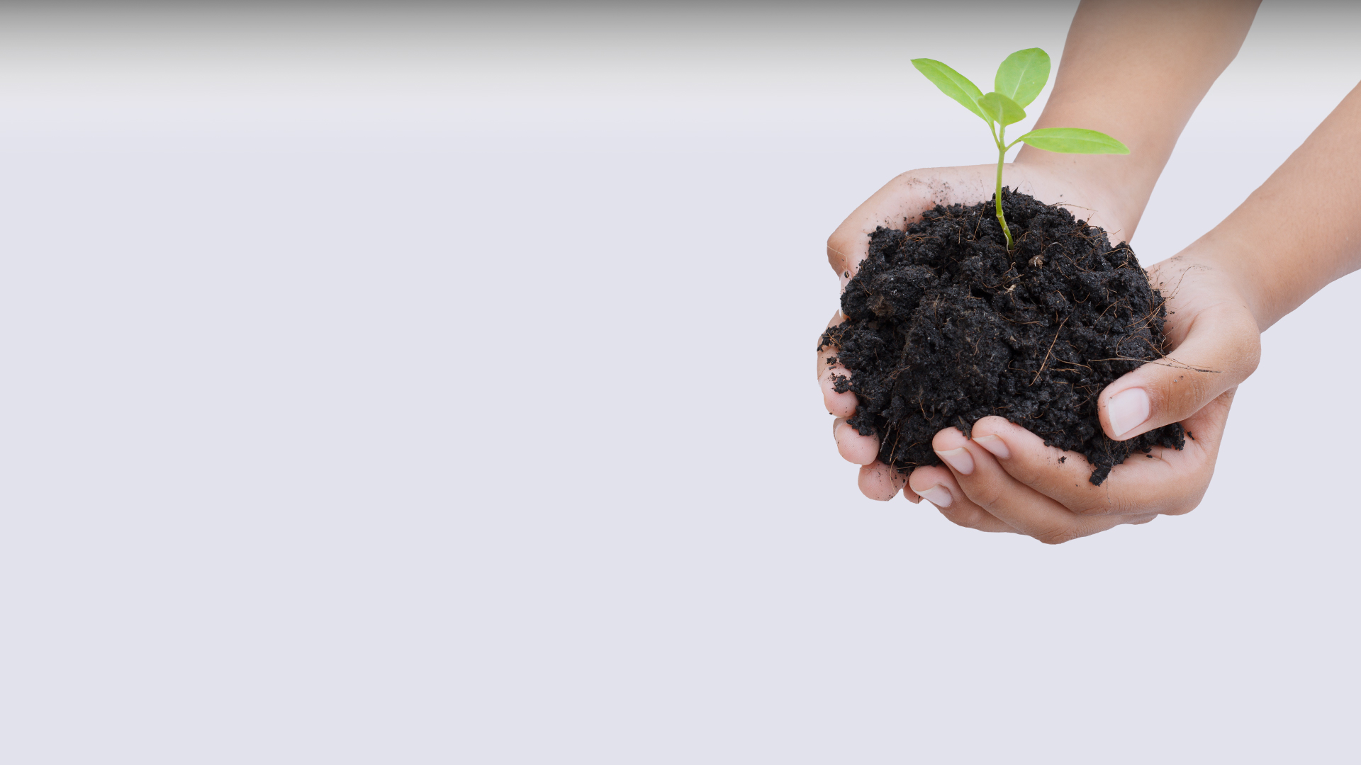 有機肥培訓(xùn)基地